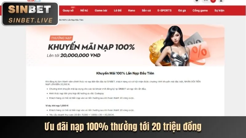 Chương Trình VIP D368